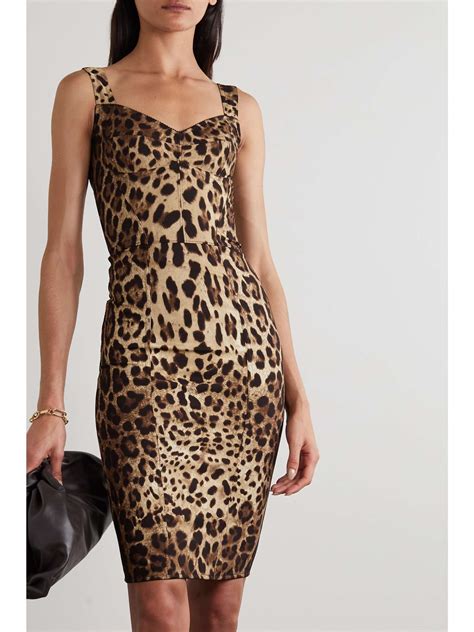 dolce gabbana blouse leopard|dolce gabbana leopard print dress.